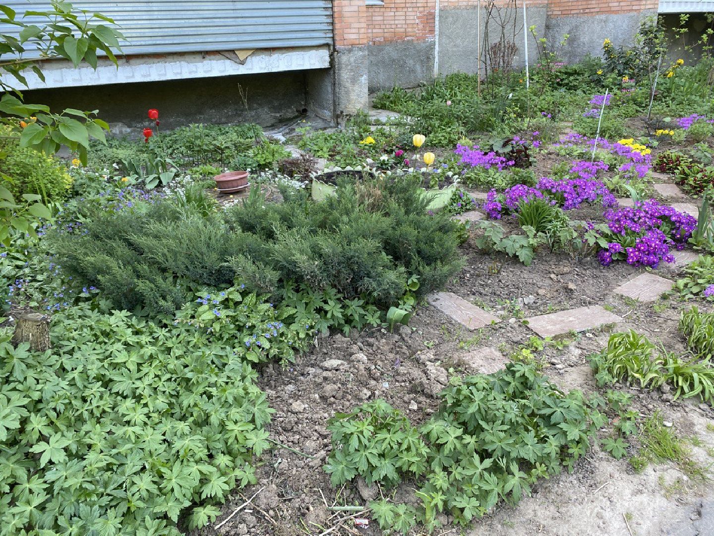 Чехов, благоустройство, житель, сад, МКД