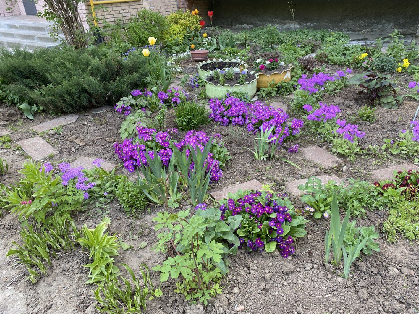 Чехов, благоустройство, житель, сад, МКД