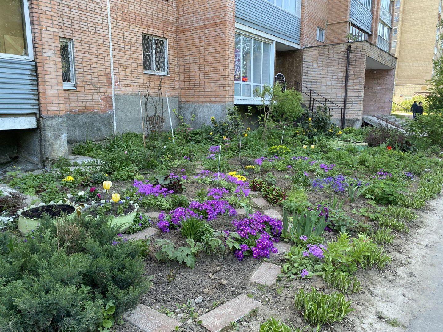 Чехов, благоустройство, житель, сад, МКД