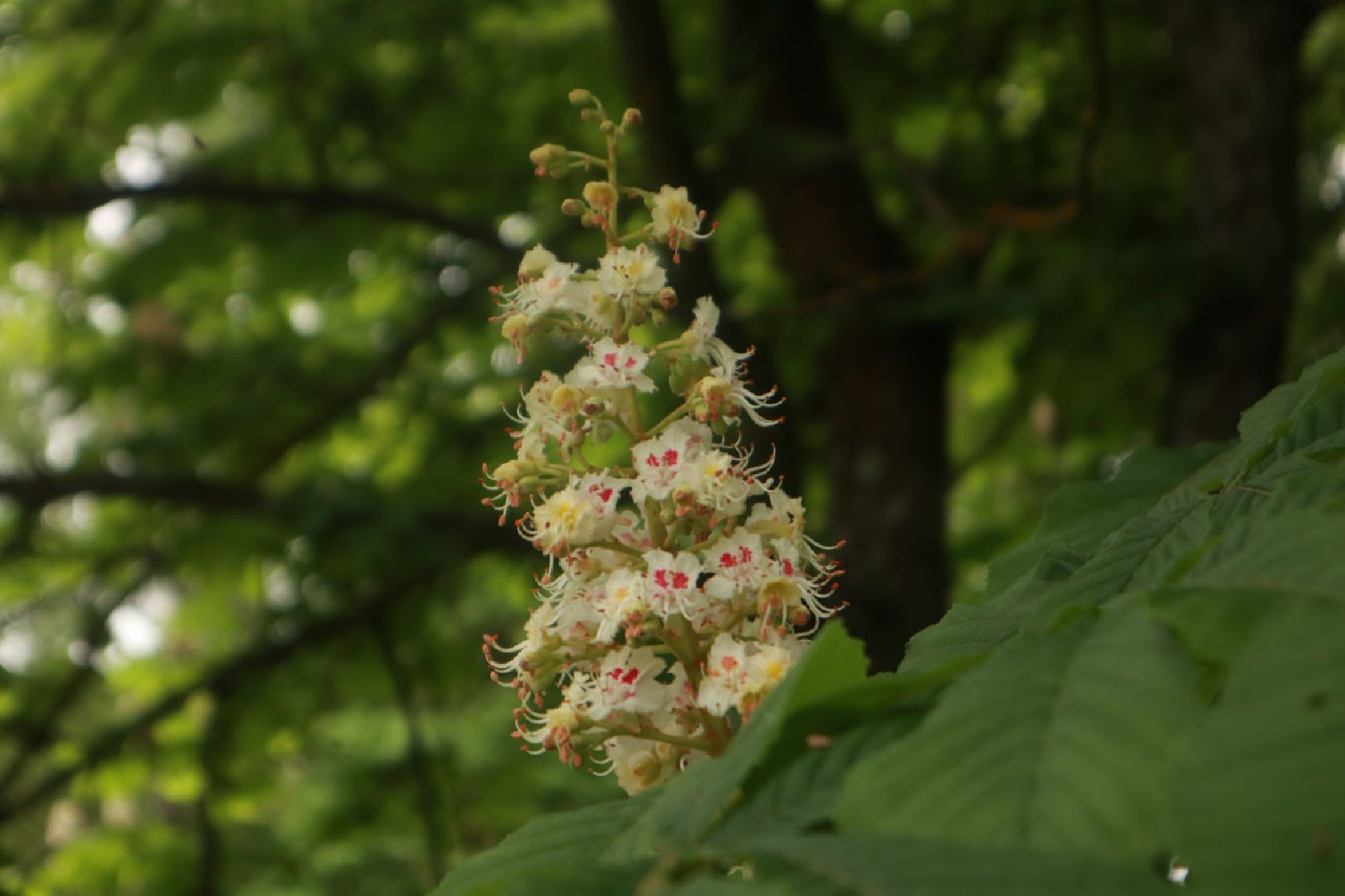 Пущино, экология