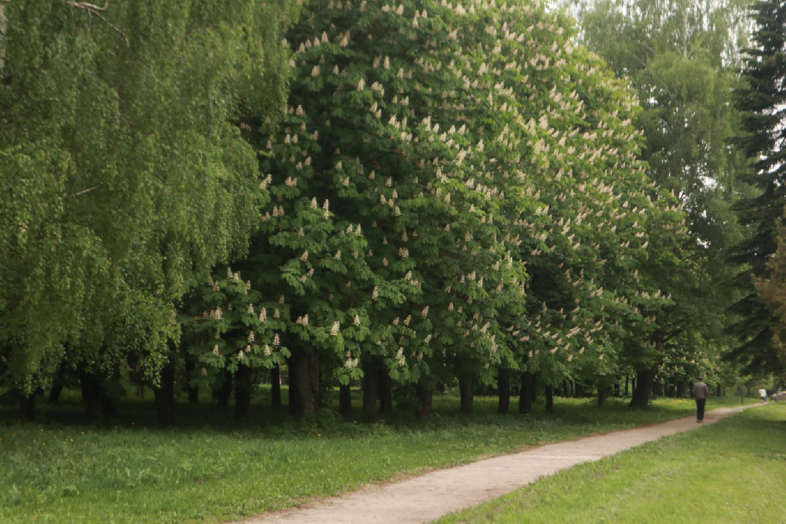 Пущино, экология