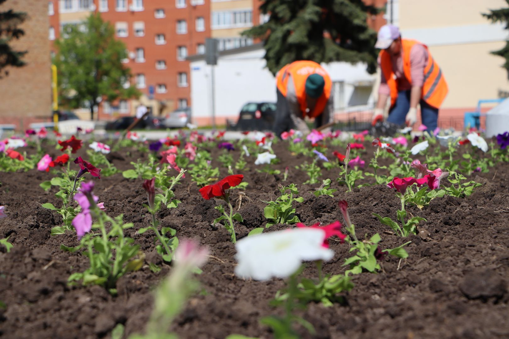 Серебряные Пруды, благоустройство