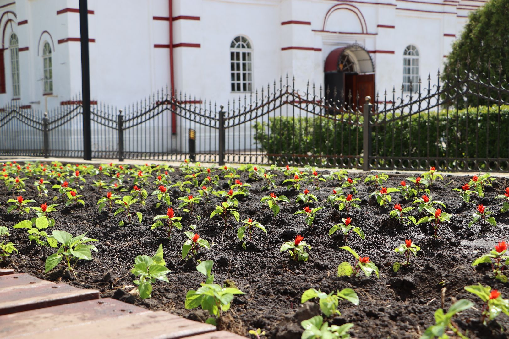 Серебряные Пруды, благоустройство