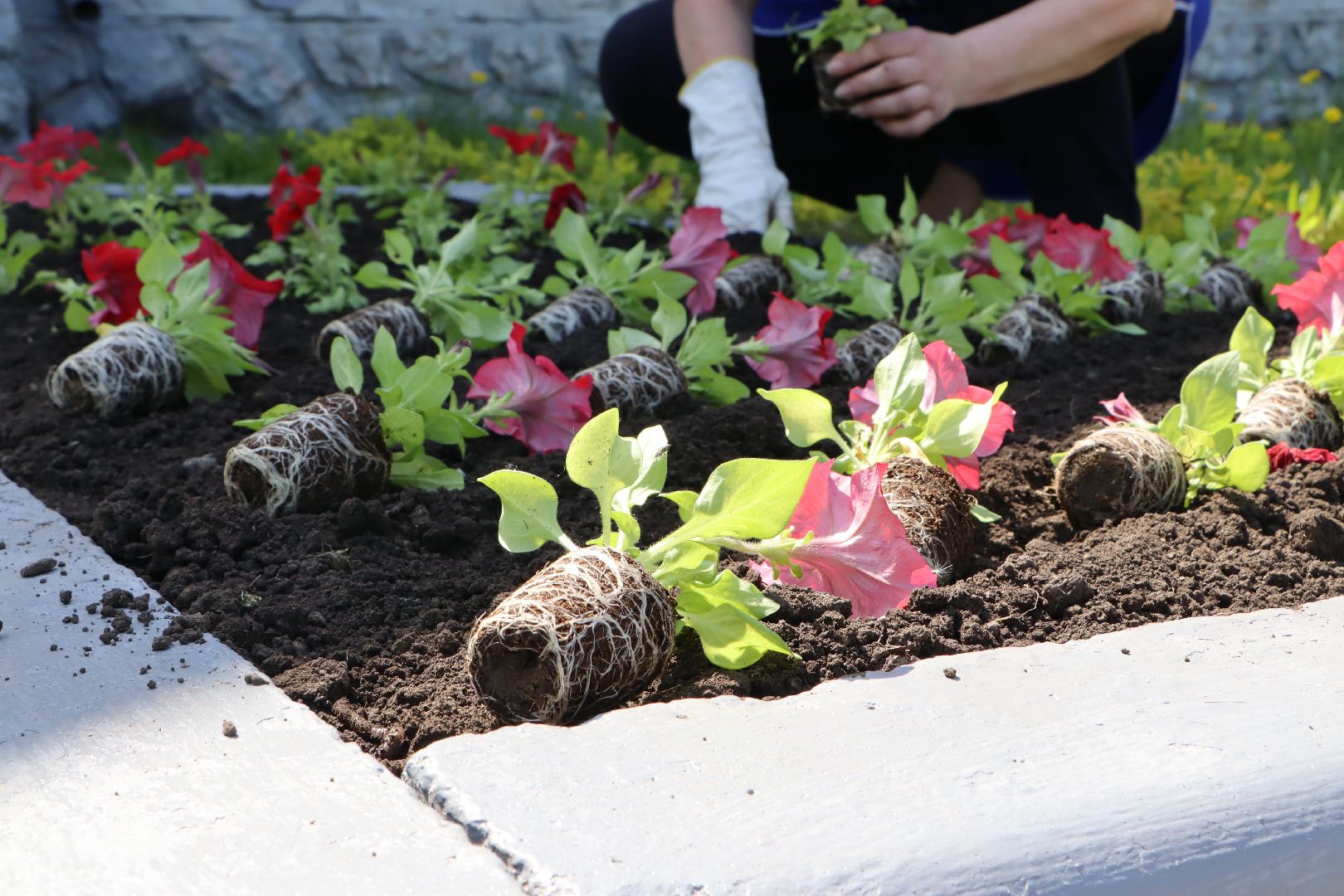 Серебряные Пруды, благоустройство