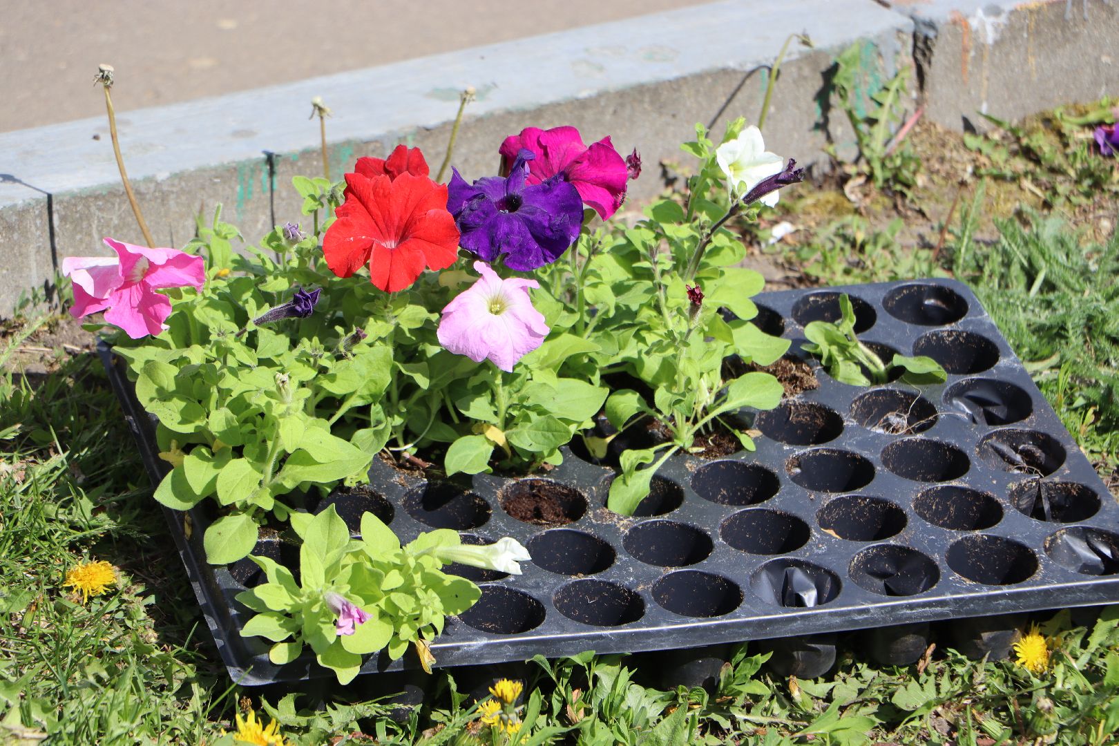 Серебряные Пруды, благоустройство