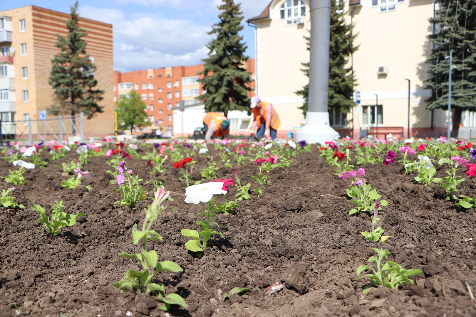 Серебряные Пруды, благоустройство