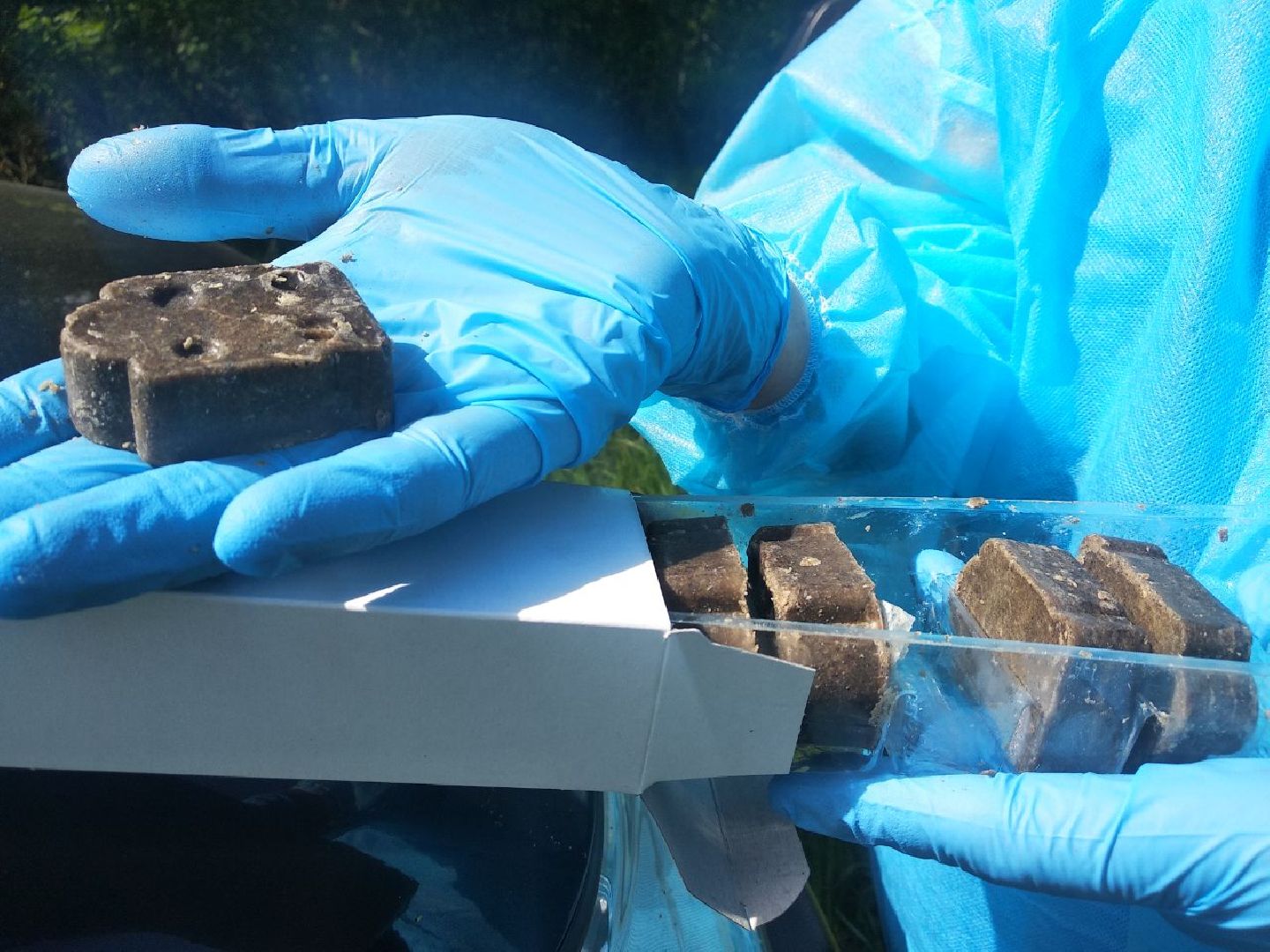 Дмитров, Государственная ветеринарная станция, Минэкологии МО