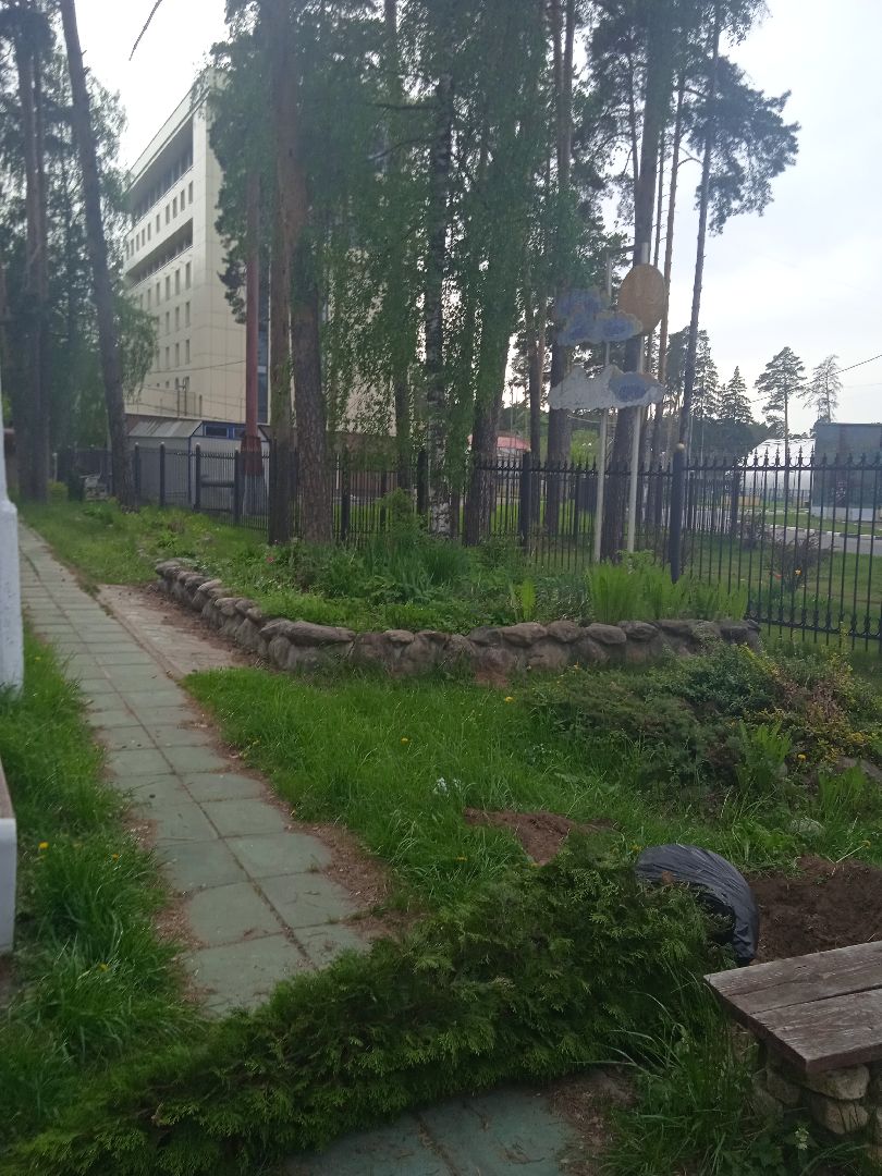 Город-сад, растения, пересадка, реконструкция, парк, Жуковский