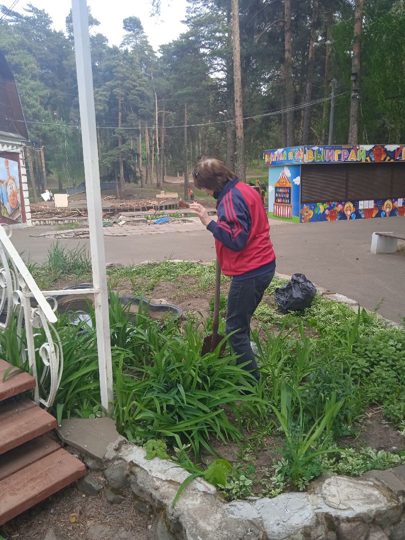 Город-сад, растения, пересадка, реконструкция, парк, Жуковский