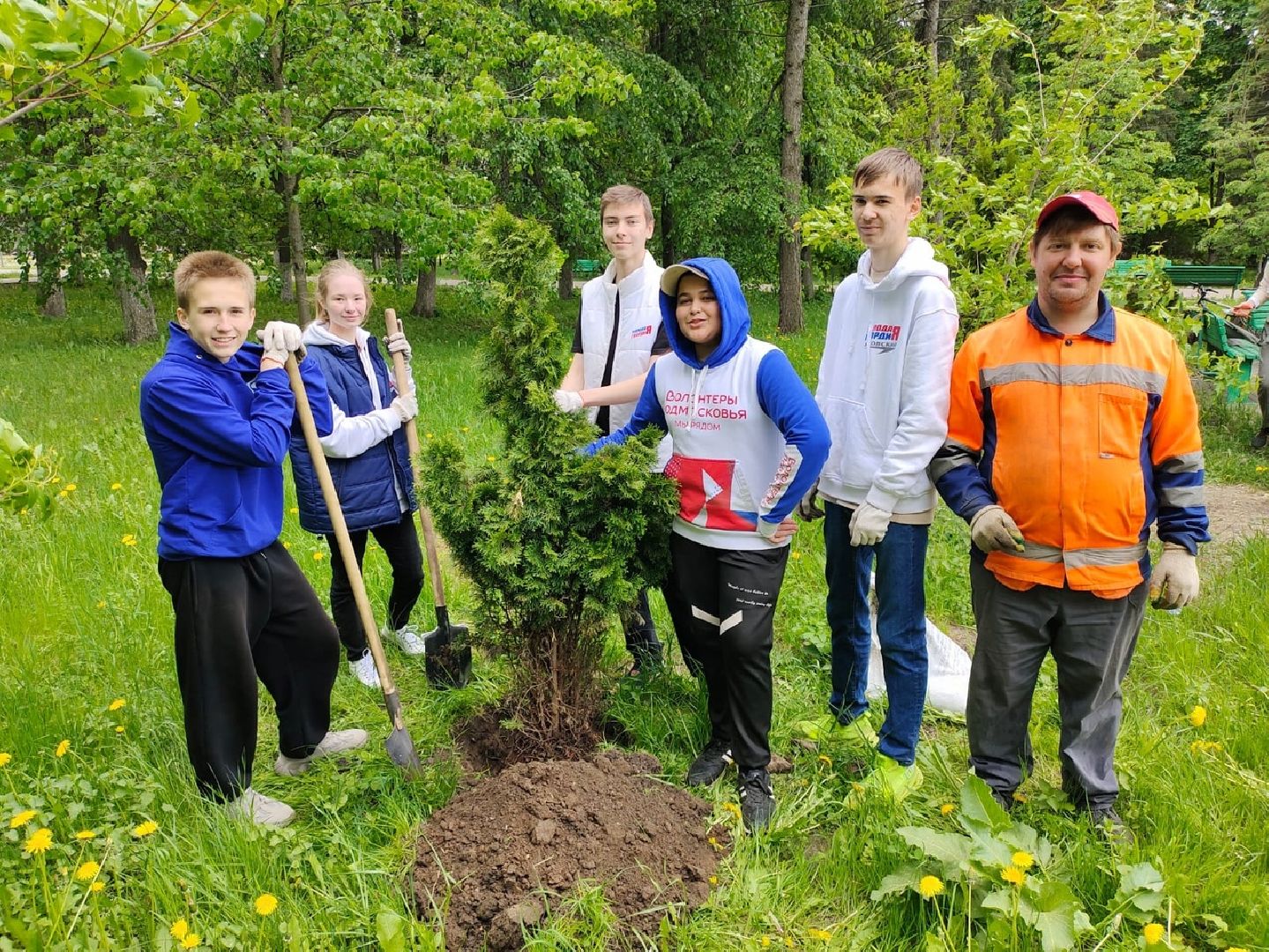 Город-сад, растения, пересадка, реконструкция, парк, Жуковский