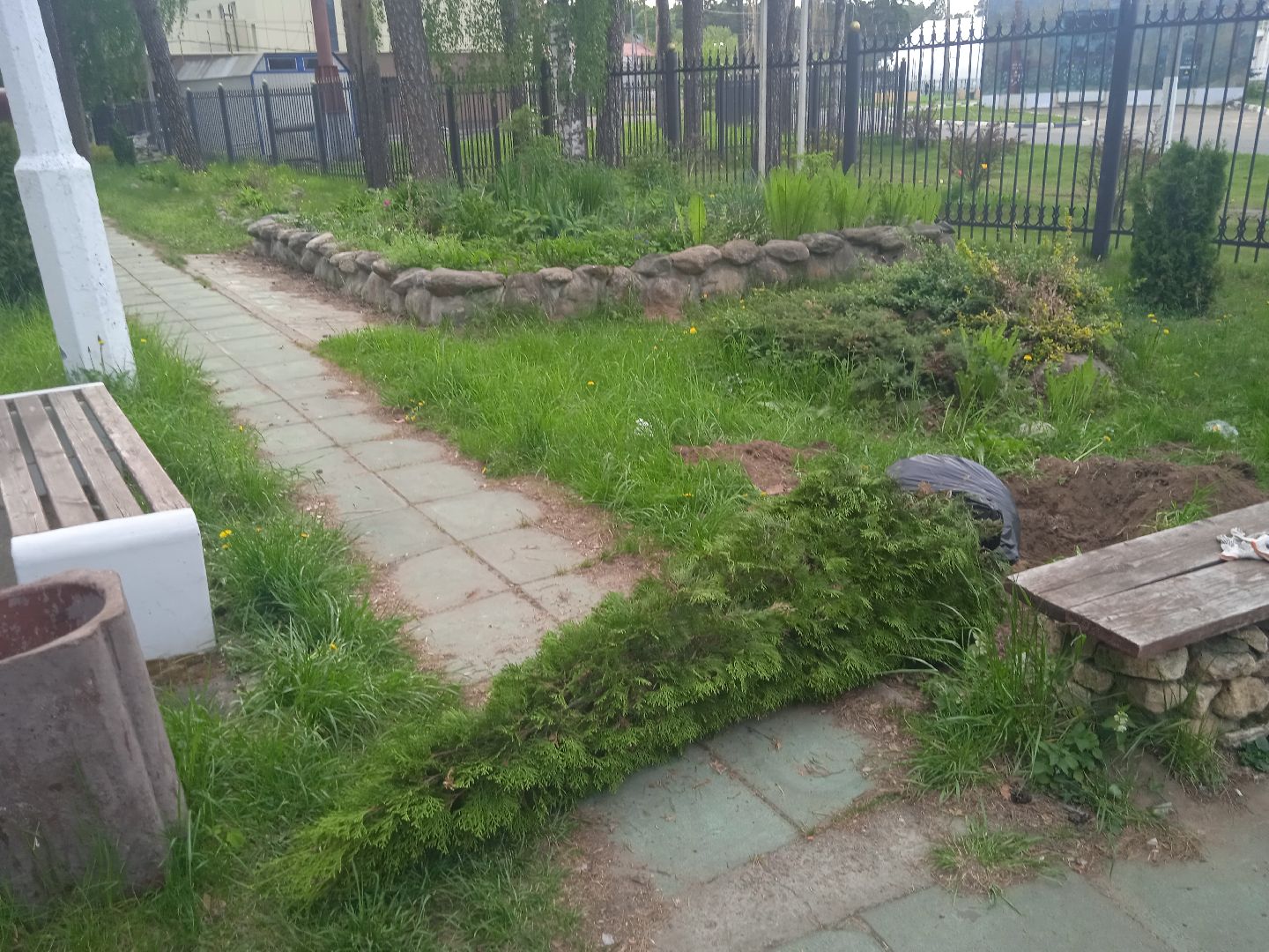 Город-сад, растения, пересадка, реконструкция, парк, Жуковский