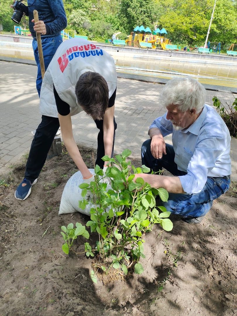 Город-сад, растения, пересадка, реконструкция, парк, Жуковский
