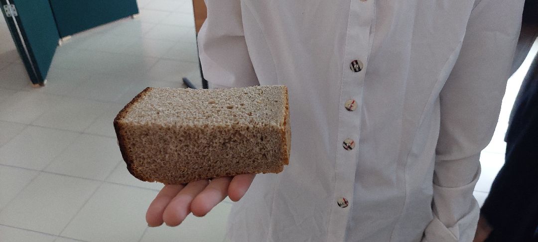 Пущино, волонтеры