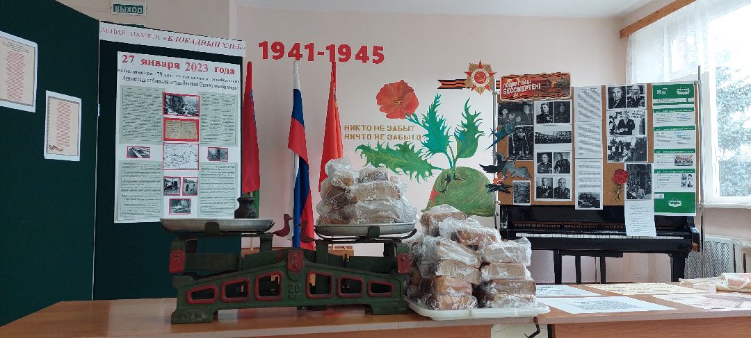 Пущино, волонтеры