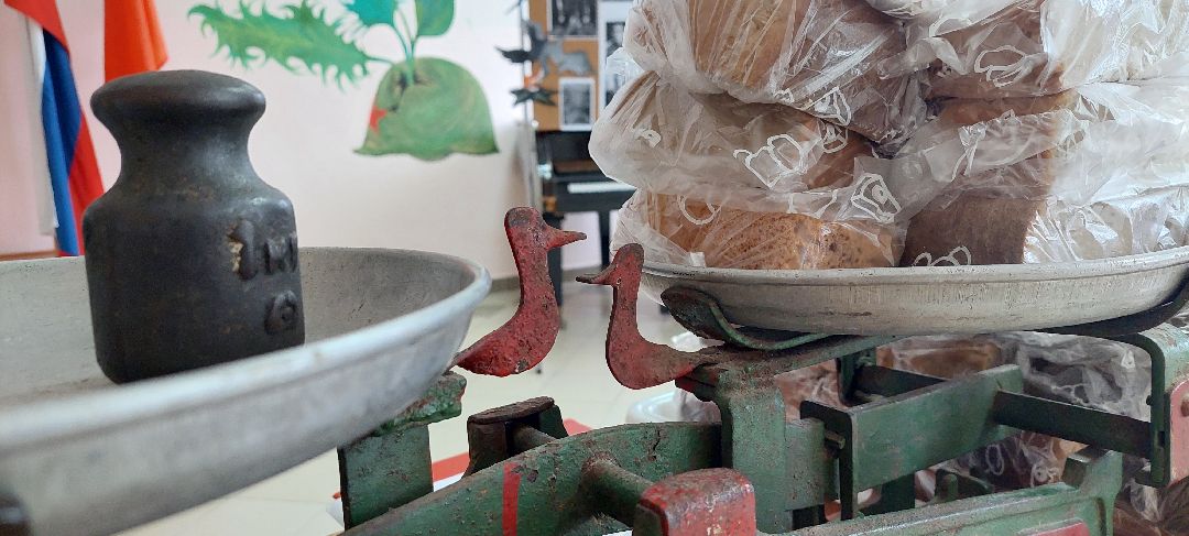 Пущино, волонтеры