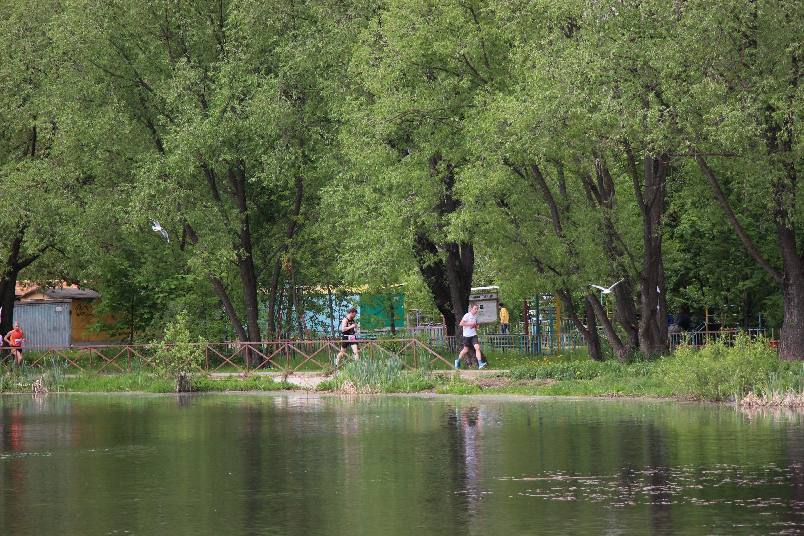 Лобня, спорт, пробег
