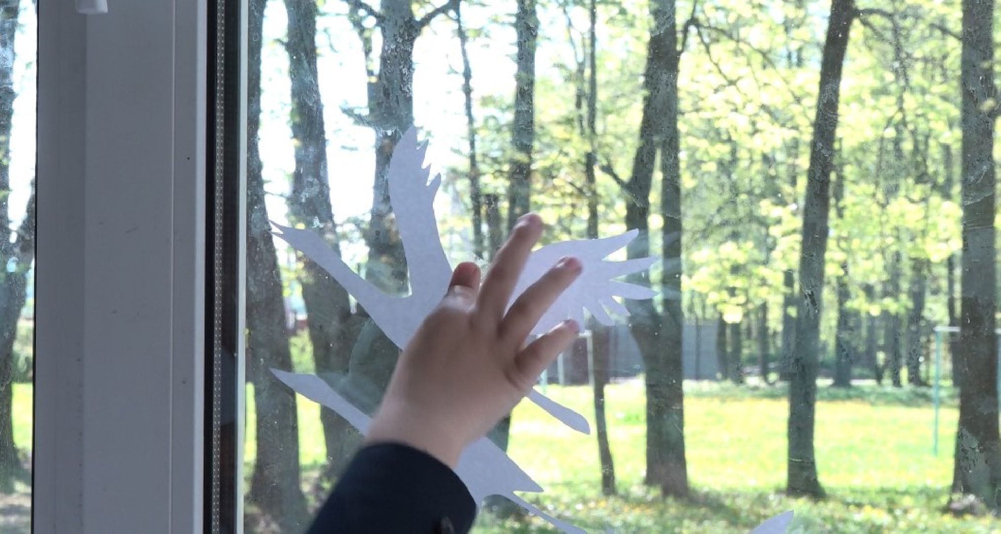 Гальчинская школа, ФСО, Домодедово