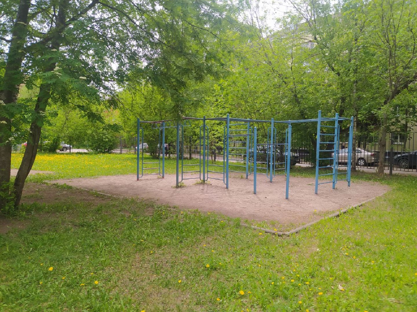 Дедовск, лагерь, дети,