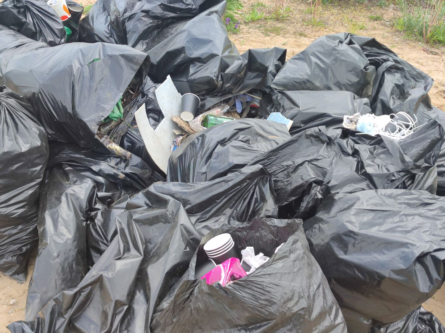 Вывоз мусора, субботник, день Волги, Дубна