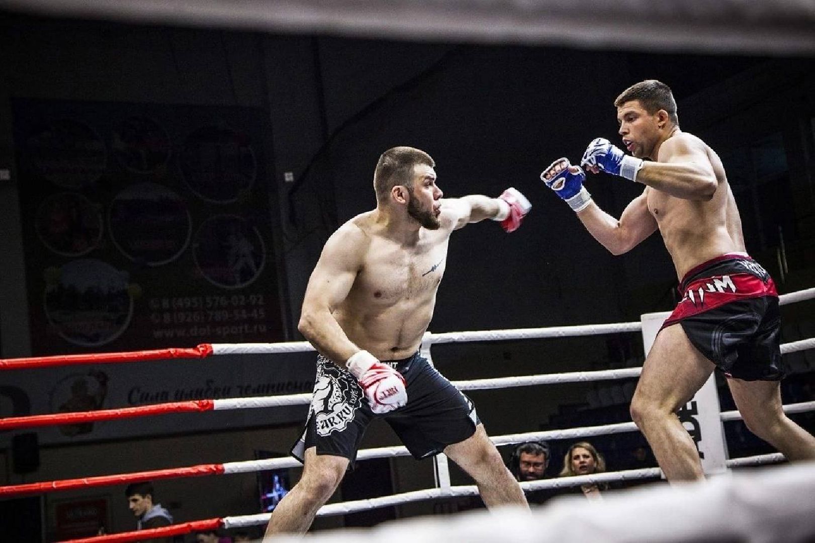 Долгопрудный, бокс, кикбоксинг, турнир, ринг