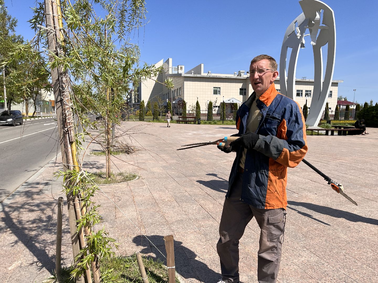 Шаховская, ивы, обрезка деревьев