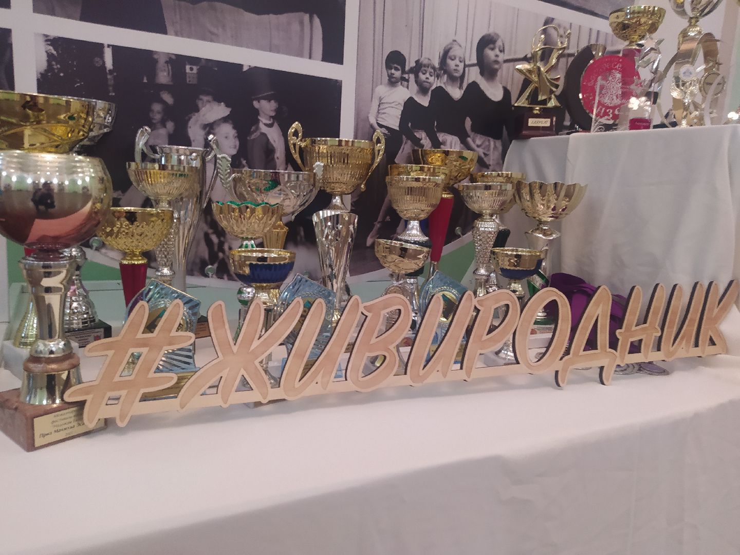 Дедовск, родник, концерт