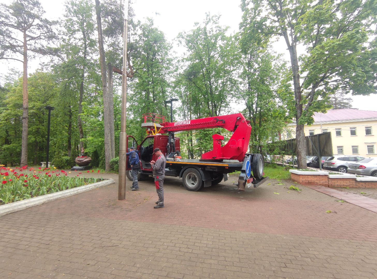 Опиловка деревьев, благоустройство, ЖКХ, Дубна