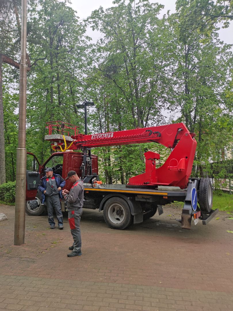 Опиловка деревьев, благоустройство, ЖКХ, Дубна