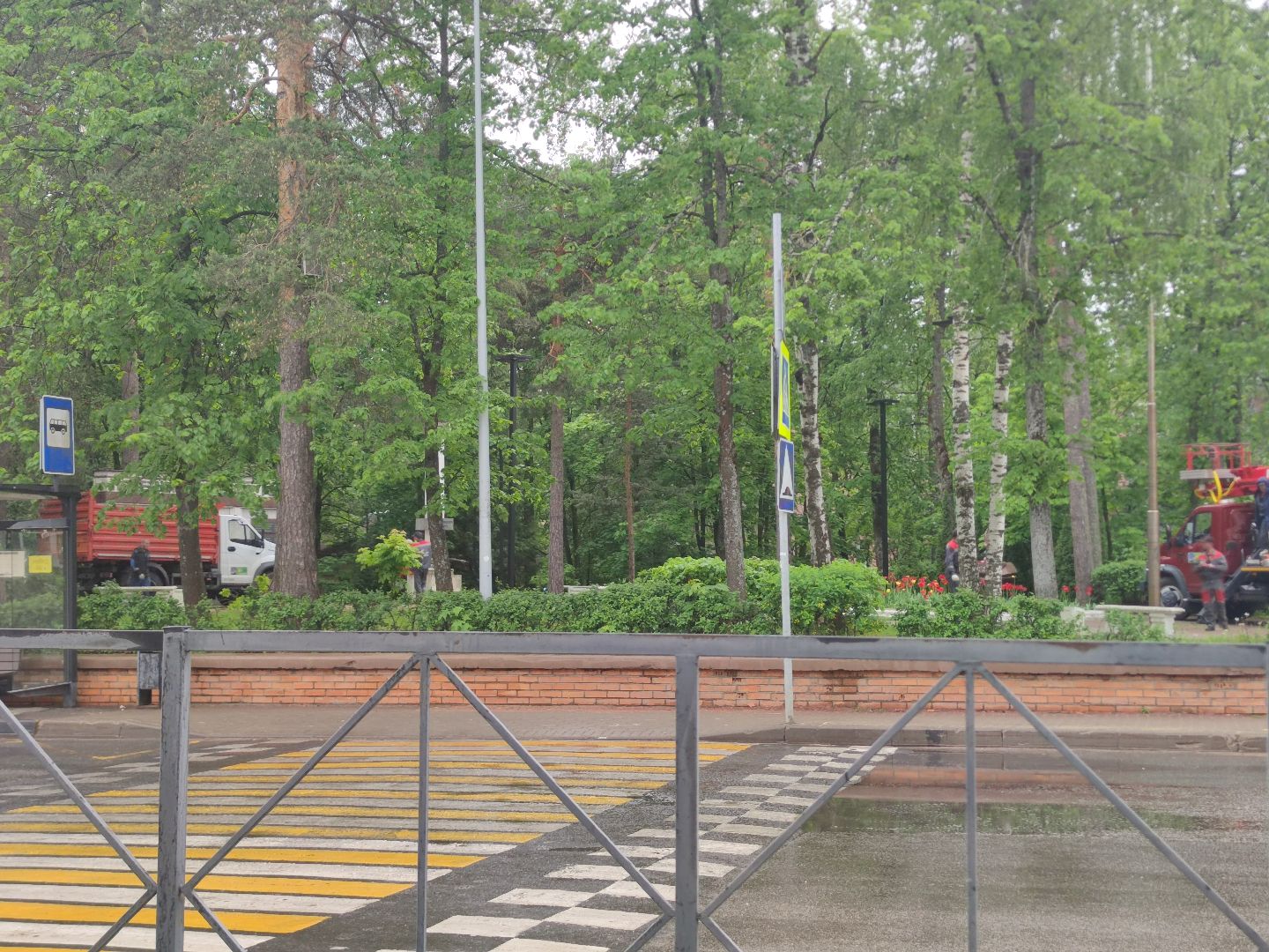 Опиловка деревьев, благоустройство, ЖКХ, Дубна