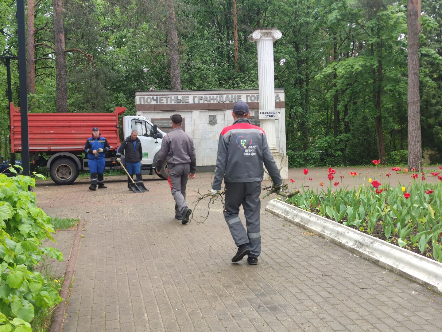 Опиловка деревьев, благоустройство, ЖКХ, Дубна