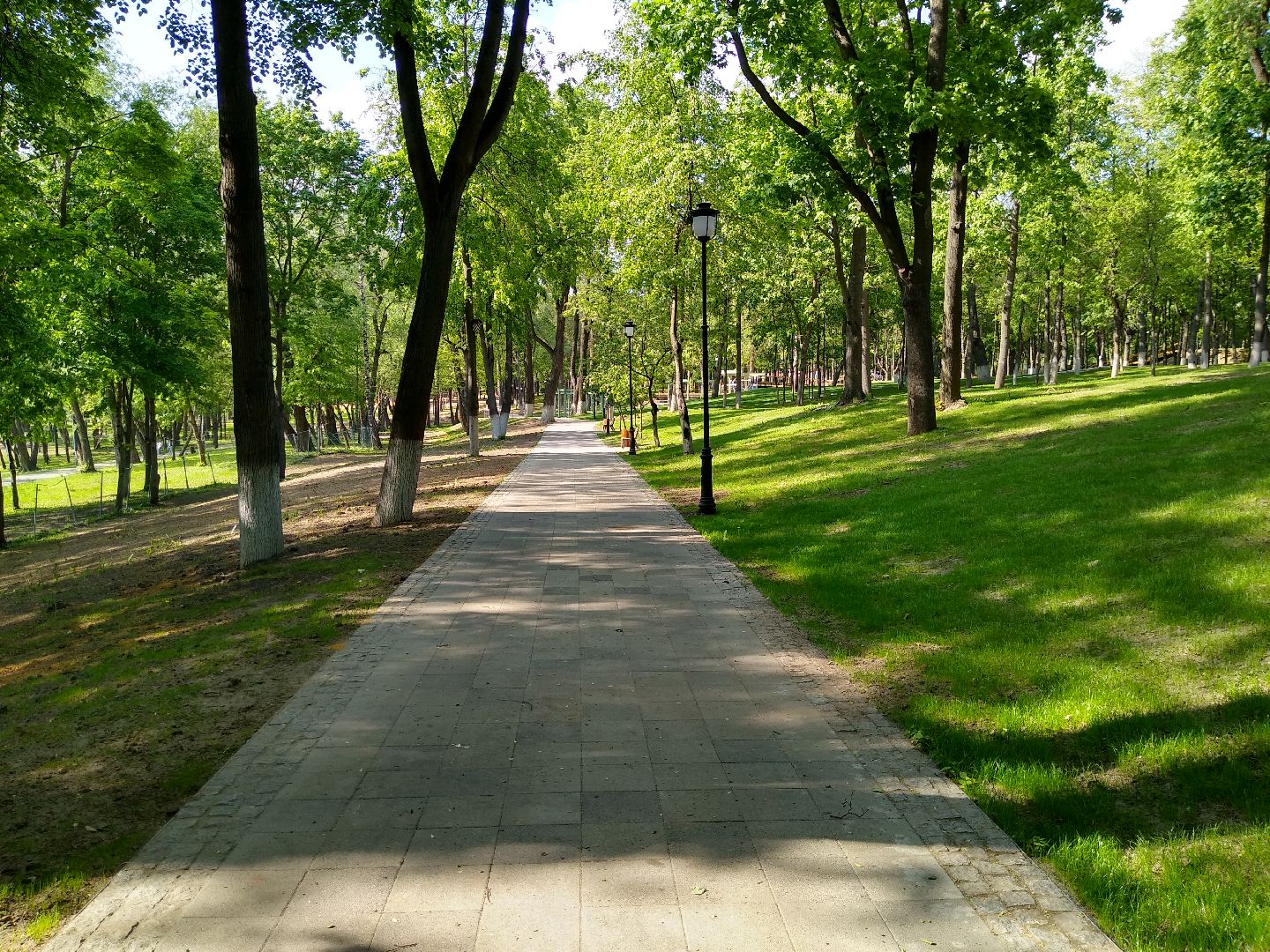 Раменское, благоустройство, парк, амфитеатр