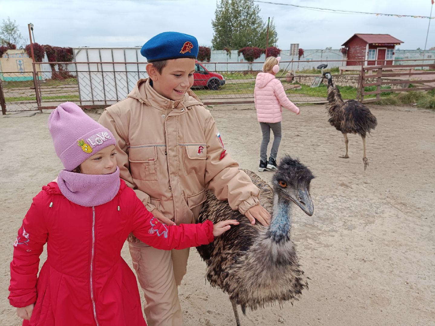 Реутов, страусы, индюки, страусиная ферма, кадеты, юнармейцы
