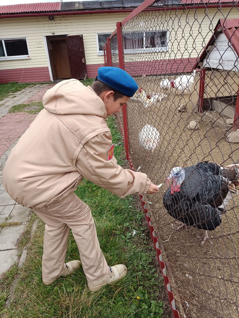 Реутов, страусы, индюки, страусиная ферма, кадеты, юнармейцы