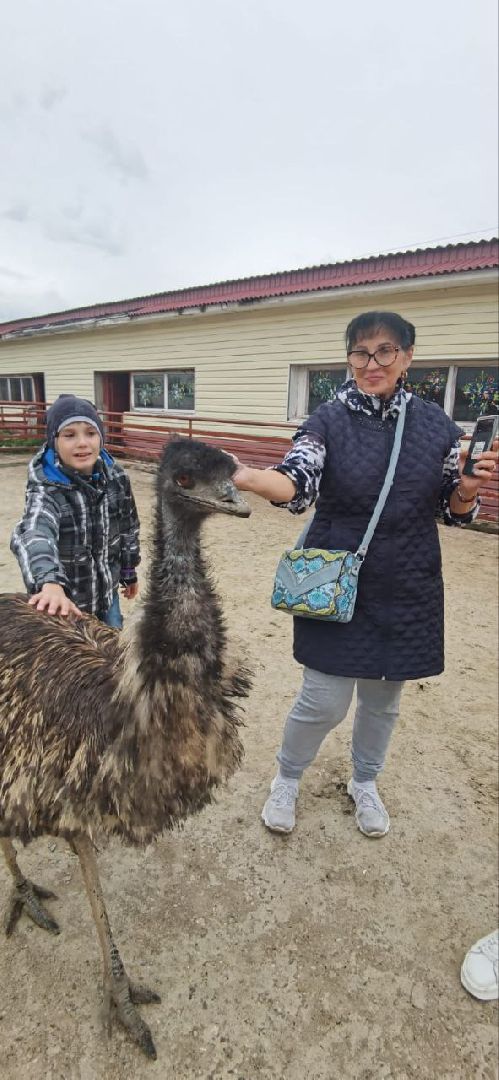 Реутов, страусы, индюки, страусиная ферма, кадеты, юнармейцы