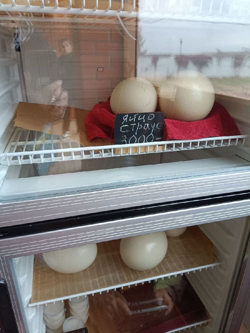 Реутов, страусы, индюки, страусиная ферма, кадеты, юнармейцы