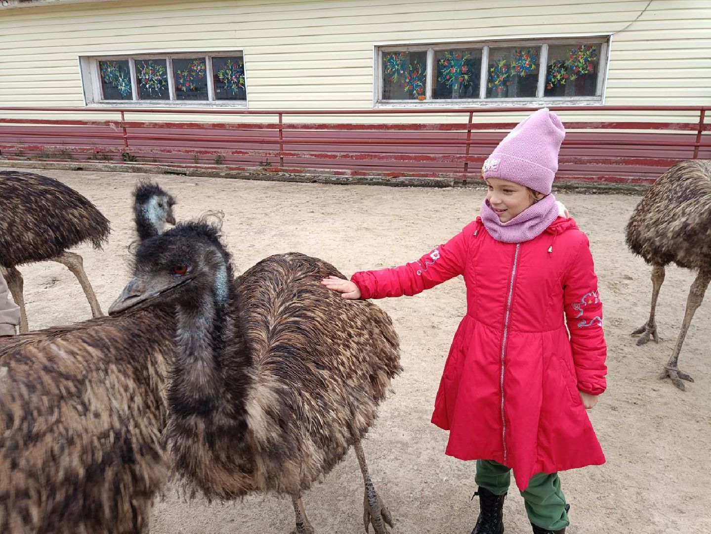 Реутов, страусы, индюки, страусиная ферма, кадеты, юнармейцы