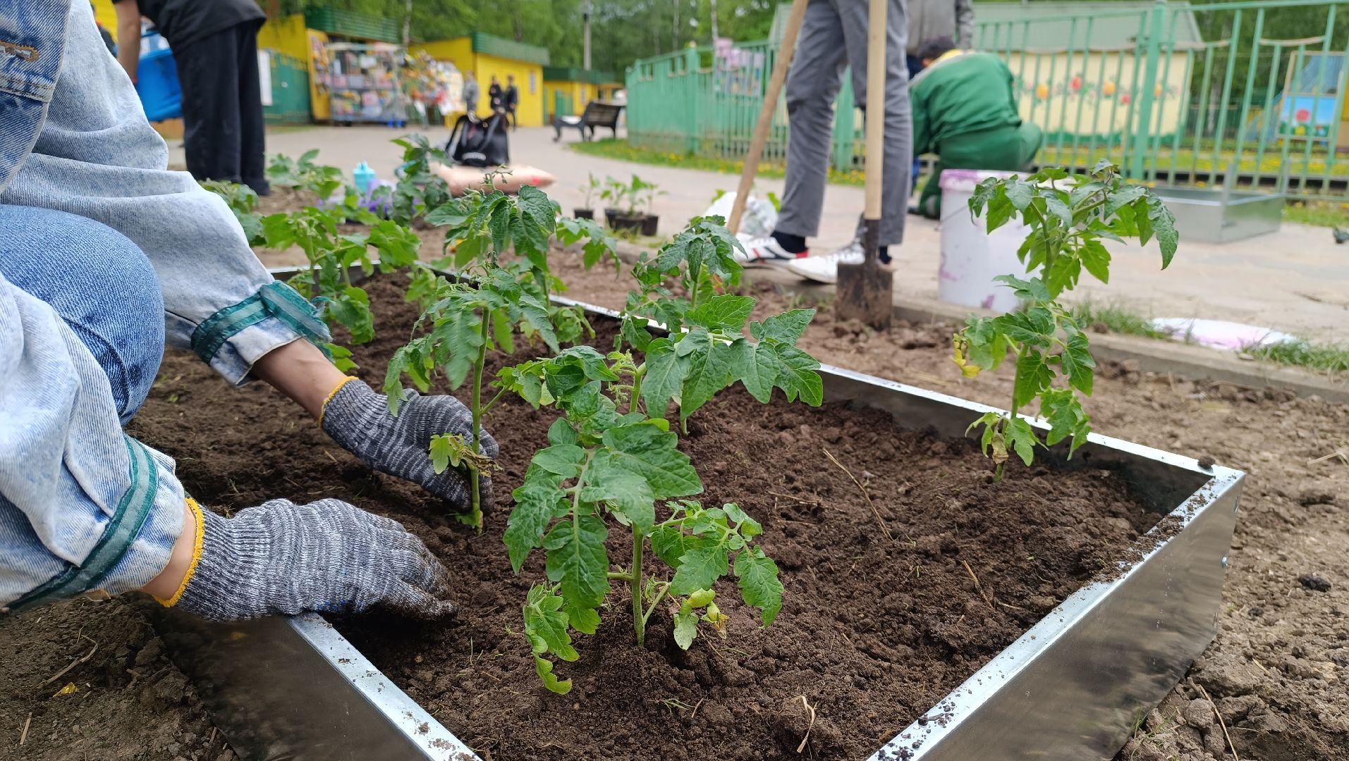 Лобня, парк, огород