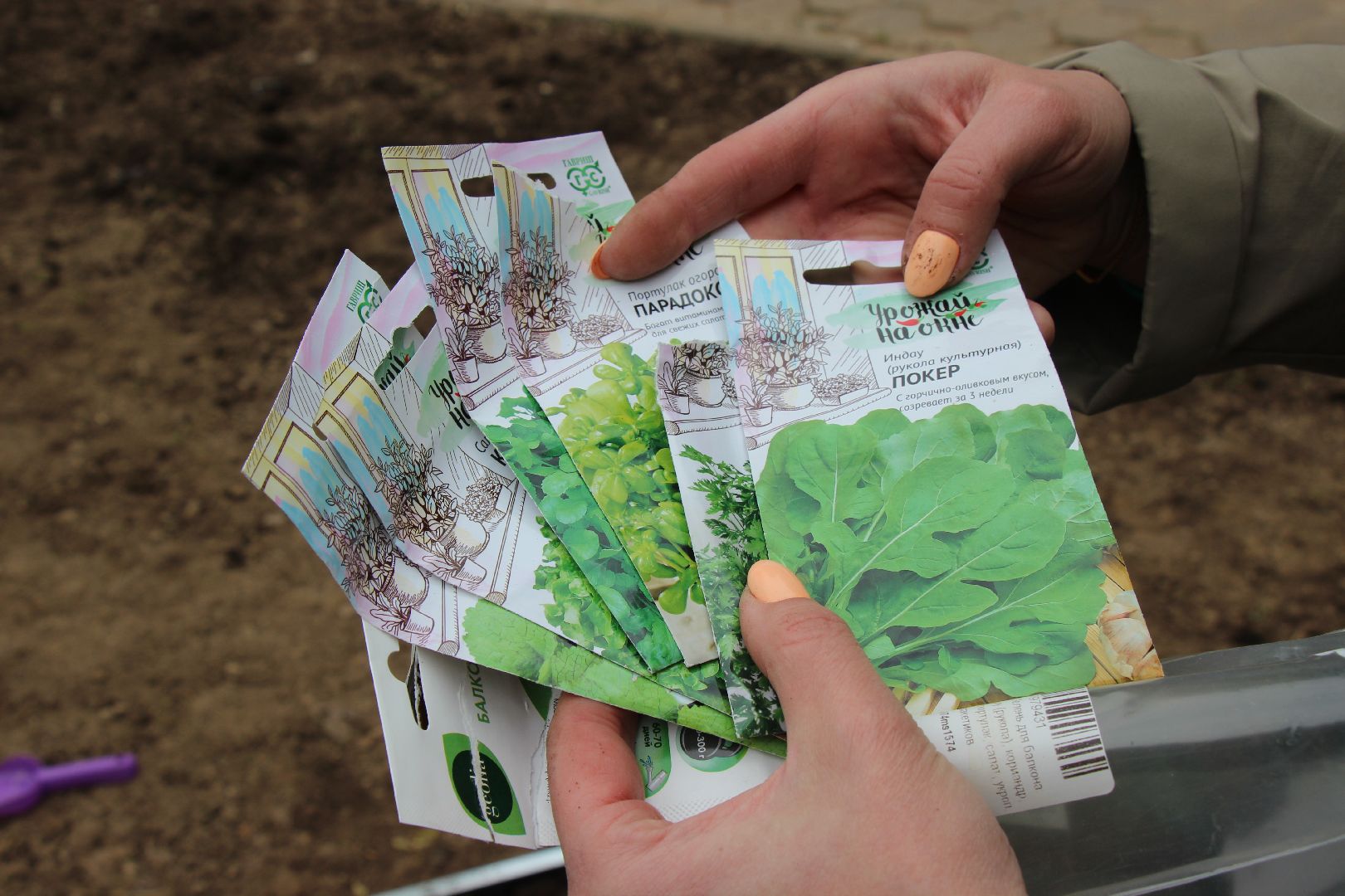 Лобня, парк, огород