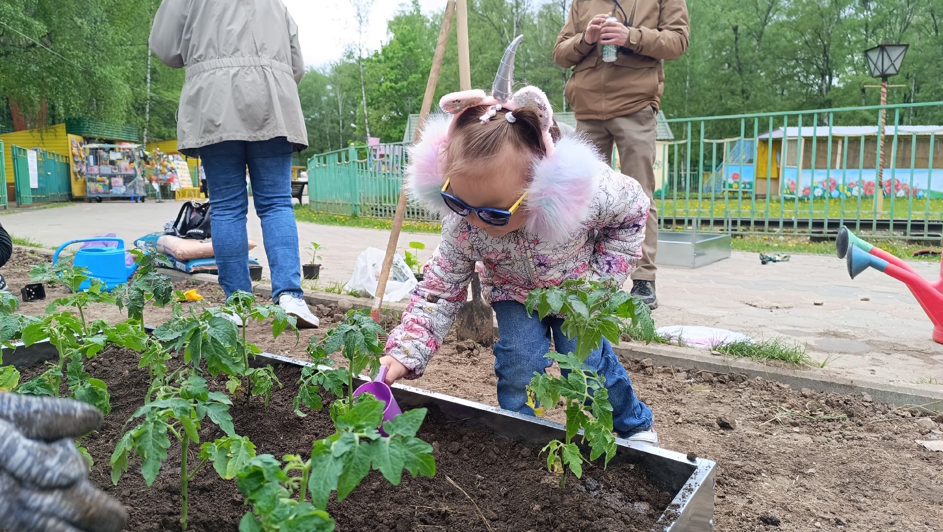 Лобня, парк, огород