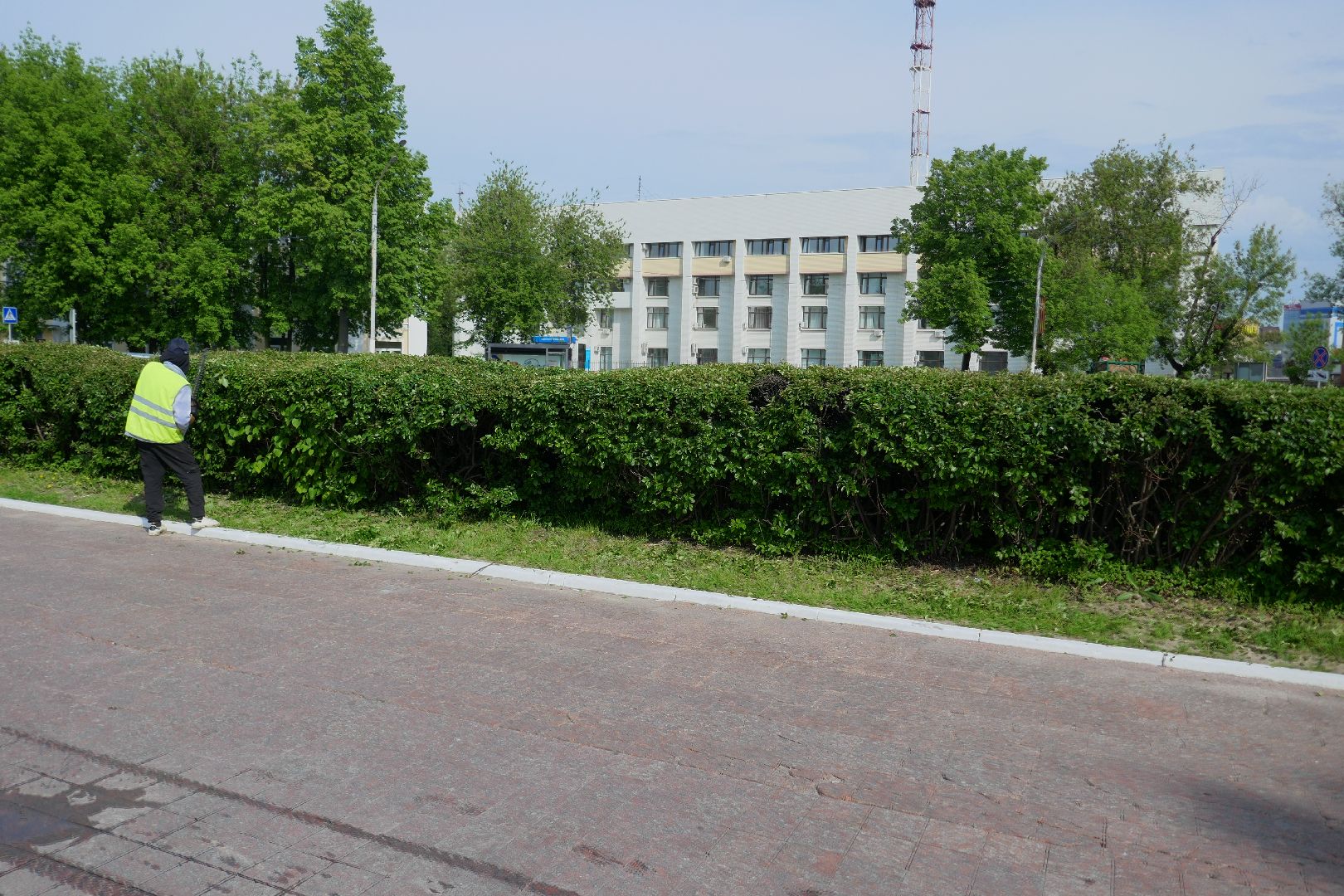 Подольск, благоустройство, кустарники, декор, растения, красота, Подольский комбинат благоустройства, кусторез, парк, сквер, природа