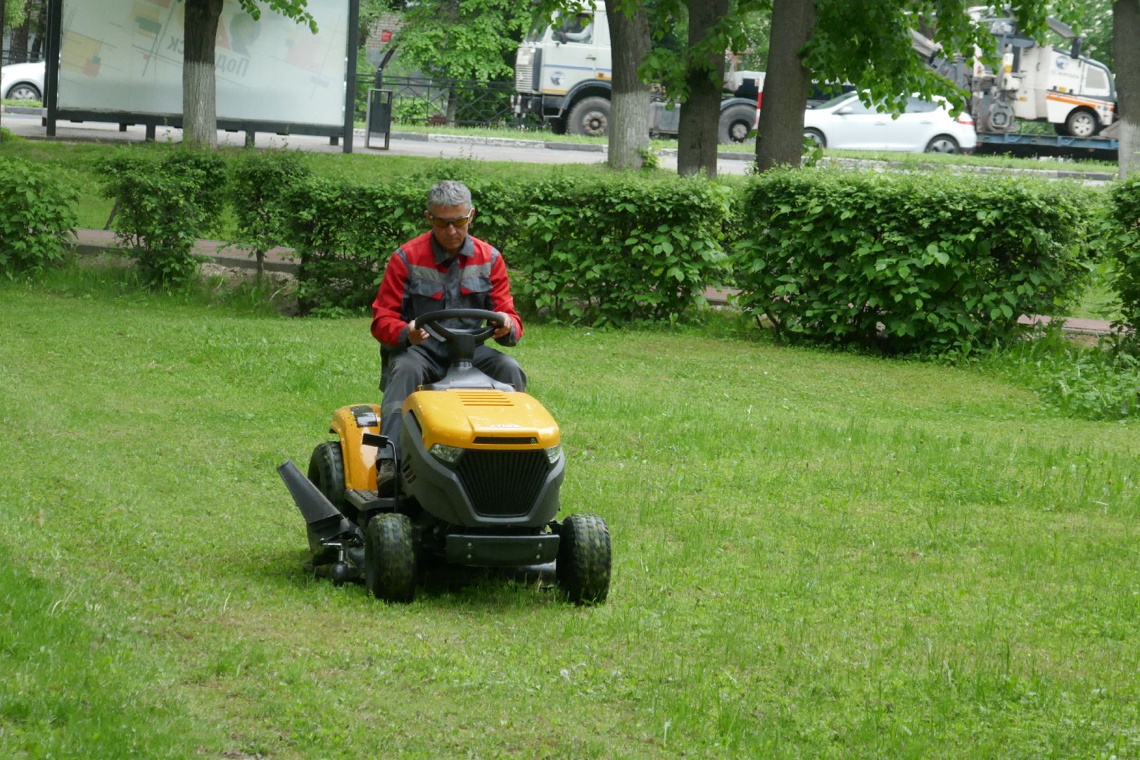 Подольск, благоустройство, кустарники, декор, растения, красота, Подольский комбинат благоустройства, кусторез, парк, сквер, природа