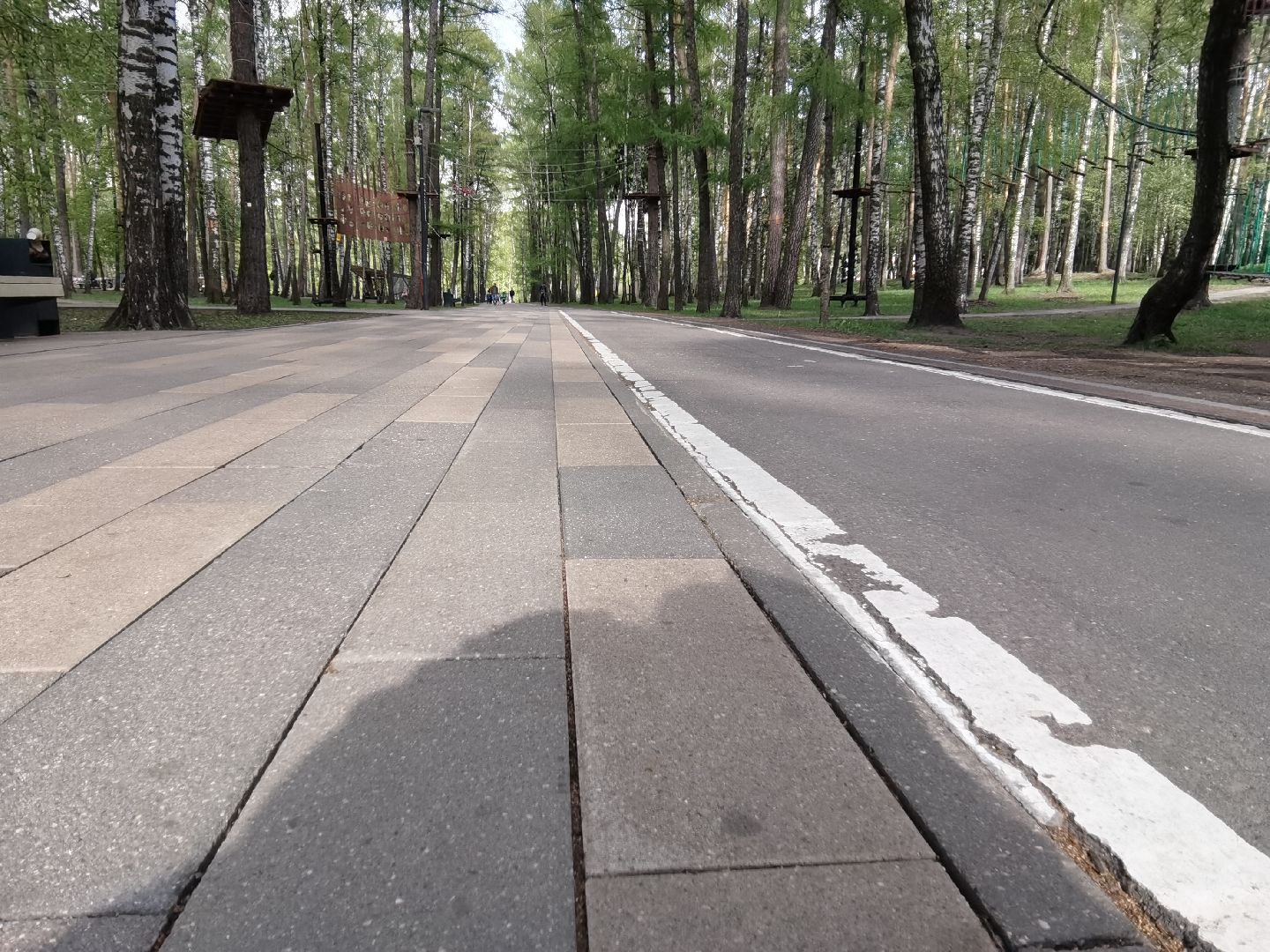 Балашиха, велодорожки, велопешеходные маршруты, связанный маршрут, велодорожная сеть, парки Балашихи, Долина Пехорки