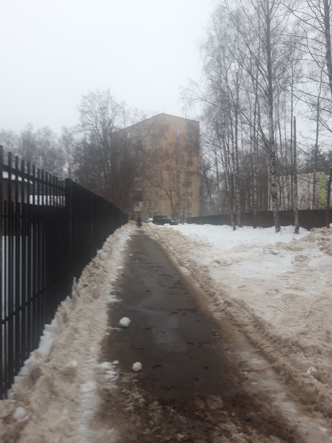 Пушкино