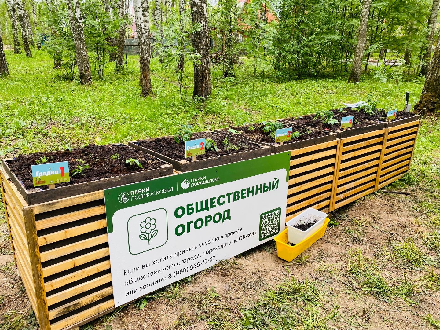 Домодедово, общественный огород, парк, дети, огород