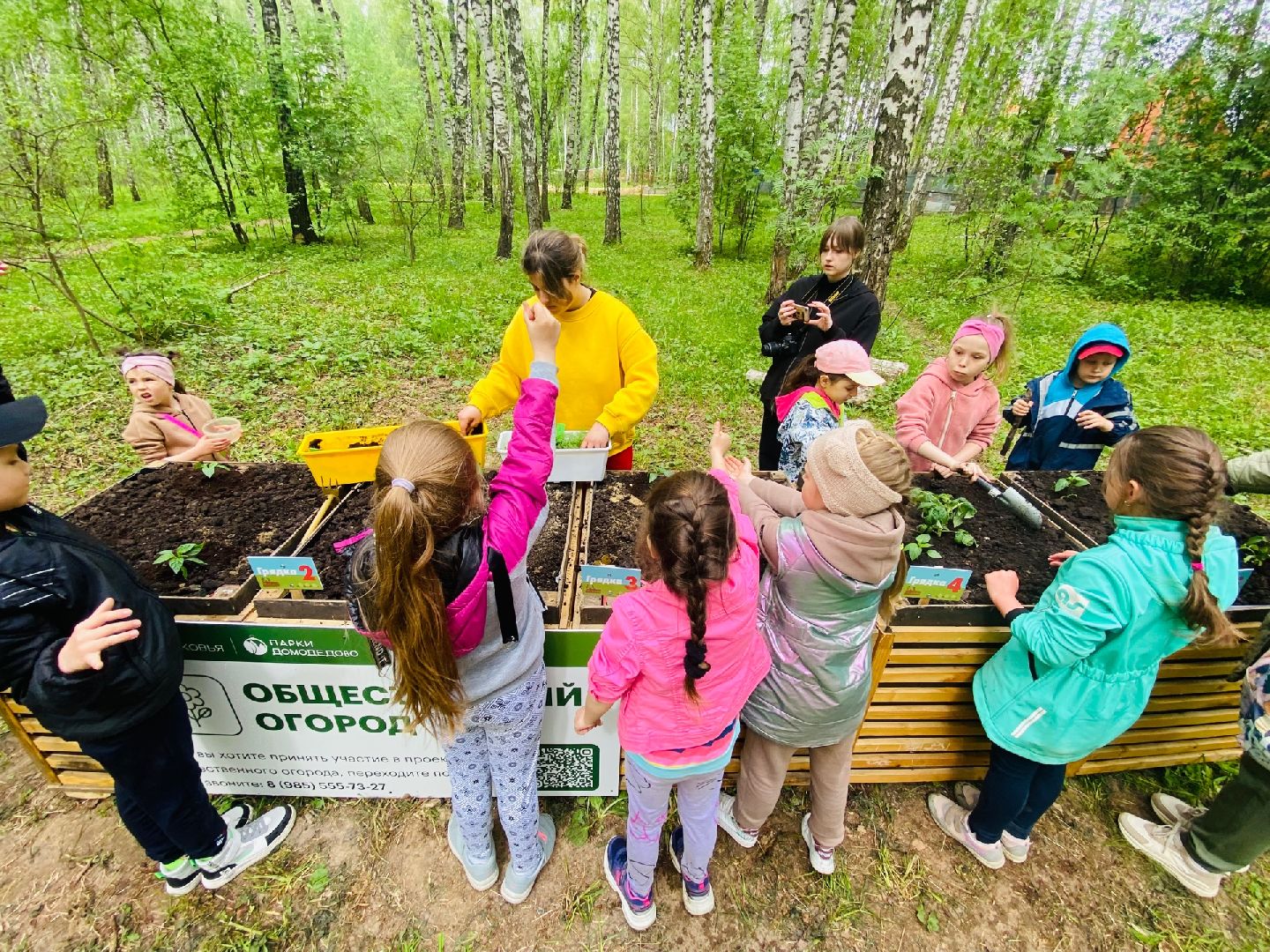 Домодедово, общественный огород, парк, дети, огород