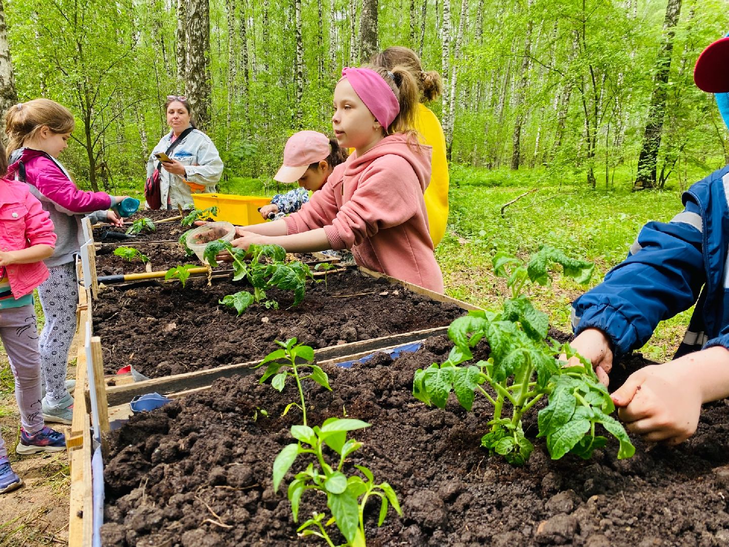 Домодедово, общественный огород, парк, дети, огород