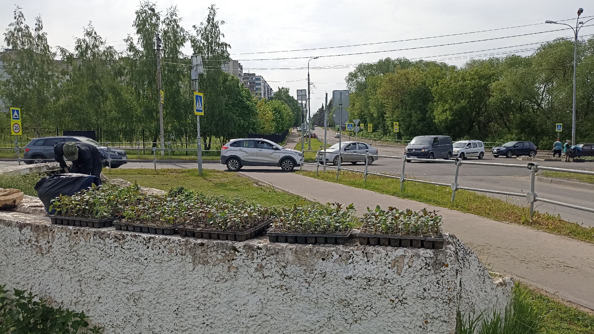 Серпухов, Подмосковье, цветы, посадка, благоустройство