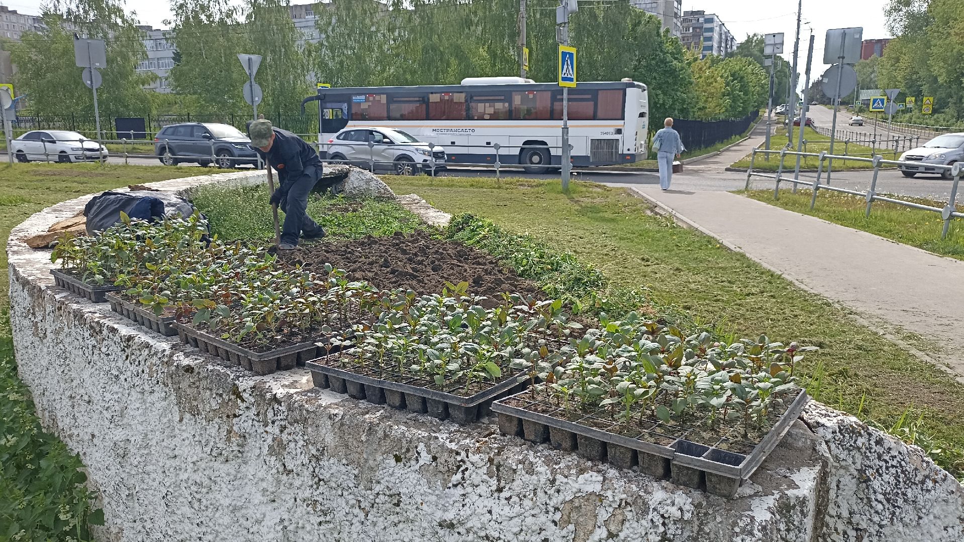 Серпухов, Подмосковье, цветы, посадка, благоустройство