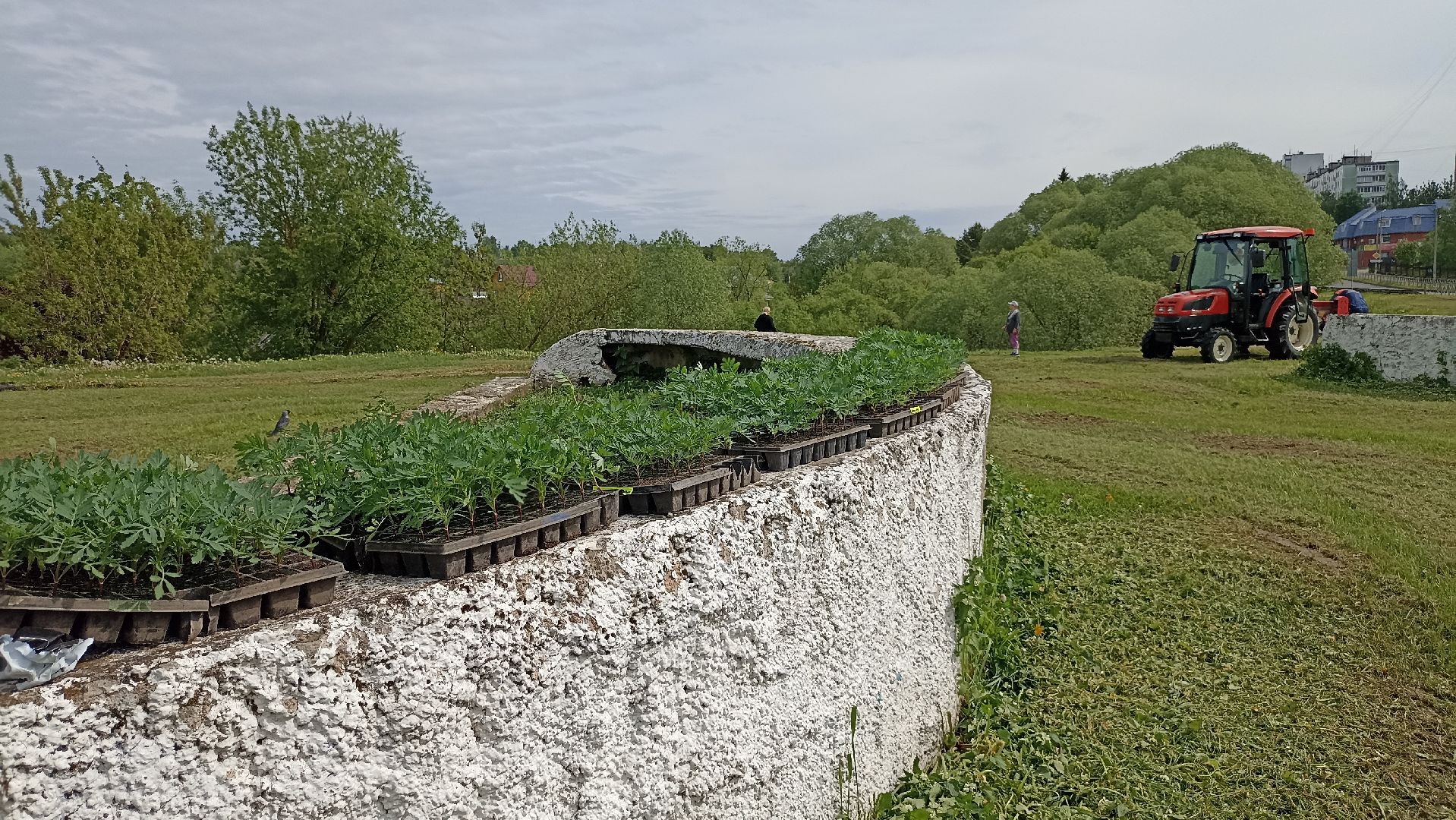 Серпухов, Подмосковье, цветы, посадка, благоустройство