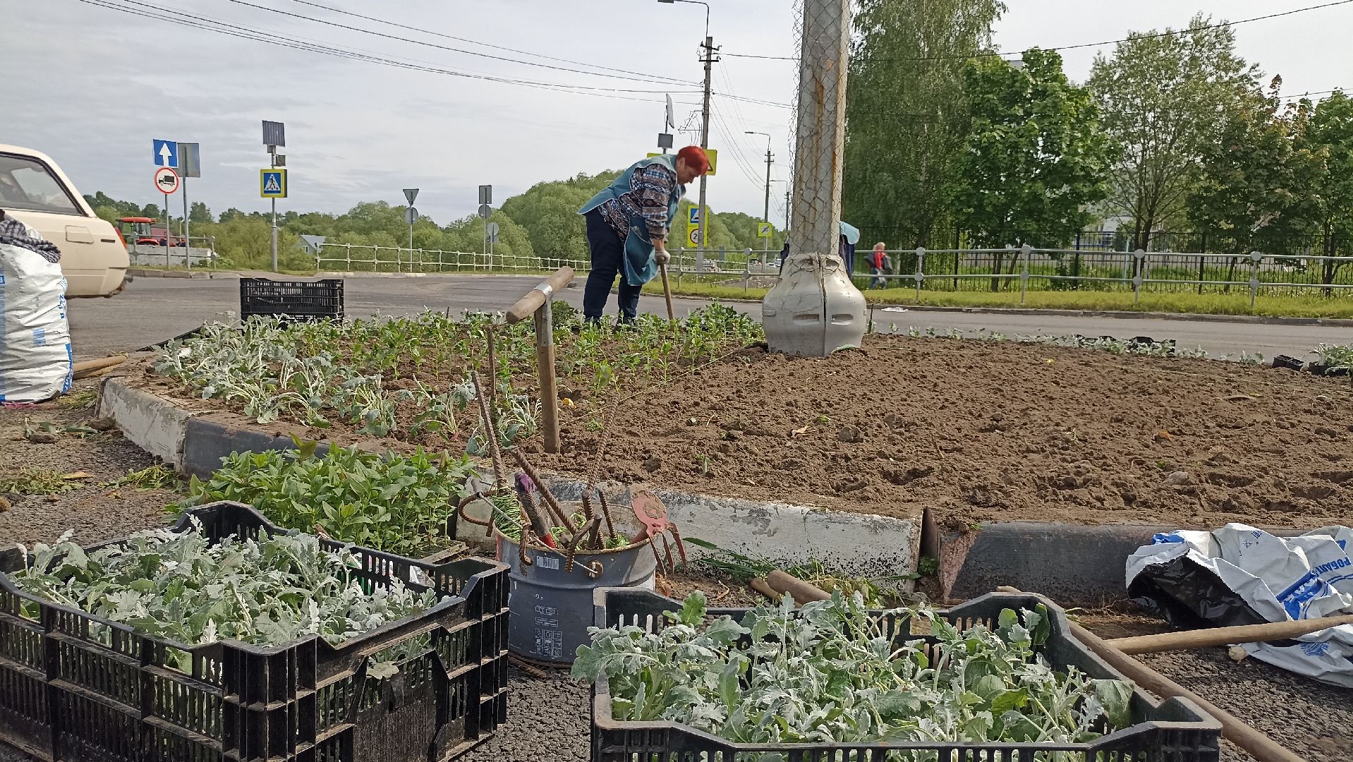 Серпухов, Подмосковье, цветы, посадка, благоустройство